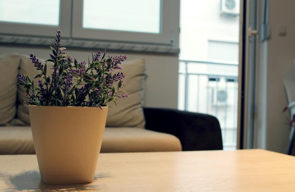 Apartment Leonis Belgrad Dış mekan fotoğraf